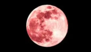 Asal, Bulan, Indonesia, IndonesiaBulan, Moon  April, Nama, Pink, Purnama, Waktu