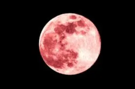 Asal, Bulan, Indonesia, IndonesiaBulan, Moon  April, Nama, Pink, Purnama, Waktu