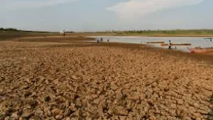 2026, BMKG, Indonesia, Kemarau, Musim