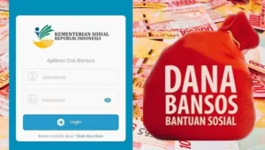 fsas bansos, bantuan, blt, BPNT, cair, cara, cek, desil, DTKS, jadwal, Kemensos, kesra, KPM, ktp, nik, Pangan, Penerima, PKH, Tanda, tunai