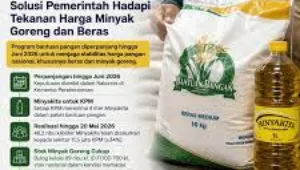 bs2 bansos, bantuan, bapanas, beras, blt, BPNT, cair, cara, cek, desil, DTKS, jadwal, Kemensos, kesra, KPM, ktp, nik, Pangan, Penerima, PKH, Sembako, Tanda, tunai