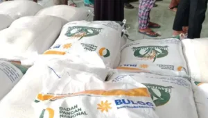 10 Kg, bansos, bantuan, beras, Keluarga, KPM, Pangan, Pemerintah, prabowo