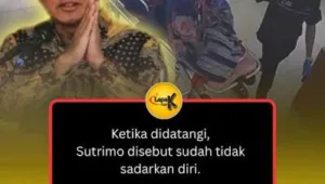 akun FF premium