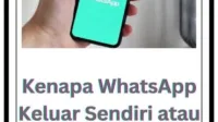 Close, Error, Force, Freeze, Logo, Normal, wa, whatsapp