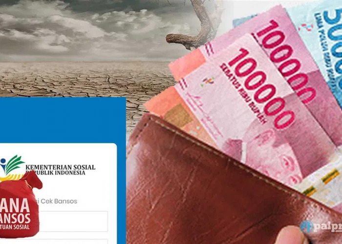bansos, bantuan, blt, BPNT, cair, cara, cek, desil, DTKS, jadwal, Kemensos, kesra, KPM, ktp, nik, Pangan, Penerima, Perlinsos, PKH, Sembako, Tanda, tunai