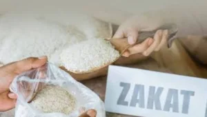 Baznas, Ganda, hapus, MUI, pajak, Pengganti, Wacana, zakat