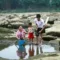 Air, Ancam, Cisadane, Debit, fenomena, Mata, Menurun, Pasokan, Pencaharian, Sungai, warga