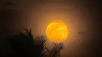29 Juli 2026, alam, Buck Moon, fenomena, Hujan, langit, MALAM, Meteor