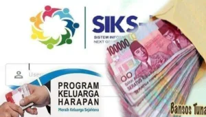 bansos, bantuan, blt, BPNT, cair, cara, cek, desil, DTKS, jadwal, Kemensos, kesra, KPM, ktp, nik, Pangan, Penerima, Perlinsos, PKH, Sembako, Tanda, tunai