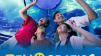 ANCOL, Beli 4, Bonus 1, liburan, Promo, Sea World, Sekolah, Tiket