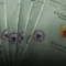 10 Hari, Administrasi, ATR, Balik, BPN, Nama, SHM, Surat, Tanah