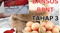 bansos, bantuan, blt, BPNT, cair, cara, cek, desil, DTKS, DTSEN, jadwal, Kemensos, kesra, KPM, ktp, nik, Pangan, Penerima, Perlinsos, PKH, Sembako, Tanda, tunai