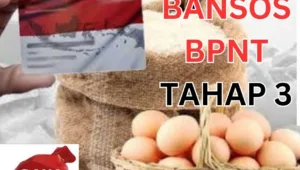 b77672db0b7e09d1a7d8e7cf59e79b25 bansos, bantuan, blt, BPNT, cair, cara, cek, desil, DTKS, DTSEN, jadwal, Kemensos, kesra, KPM, ktp, nik, Pangan, Penerima, Perlinsos, PKH, Sembako, Tanda, tunai