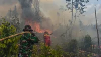 Api, Armada, hutan, Kalimantan, Karhutla, kebakaran, Personel, udara