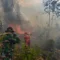 Api, Armada, hutan, Kalimantan, Karhutla, kebakaran, Personel, udara
