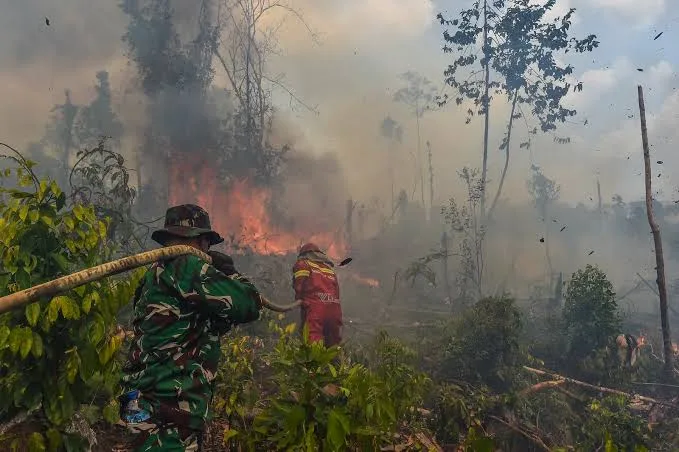 Api, Armada, hutan, Kalimantan, Karhutla, kebakaran, Personel, udara