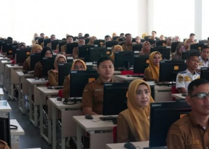 12408548e0911e6cbac79e85ce408aa7 ASN, Baru, BKN, CPNS, PNS, PPPK, Rekrutmen